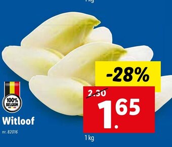 Lidl Witloof 1KG aanbieding