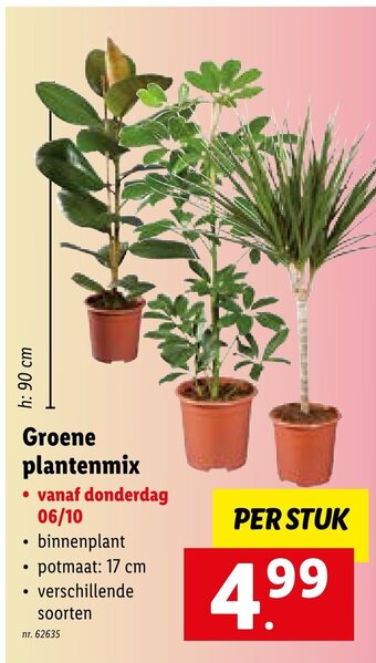 Lidl Groene plantenmix aanbieding
