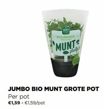 Jumbo bio munt grote pot