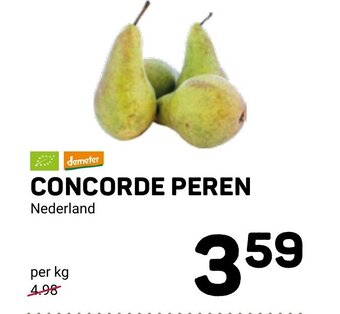 Concorde Peren