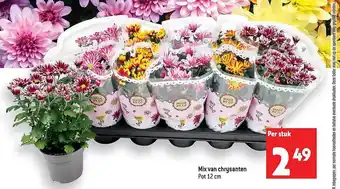 Louis Delhaize Mix van chrysanten aanbieding
