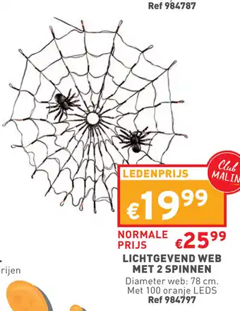 Trafic Lichtgevende Web Met 2 Spinnen 78cm 100 Oranje LEDS aanbieding