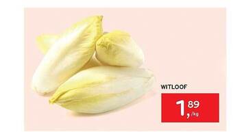 Alvo Witloof aanbieding