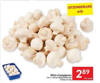 Witte champignons