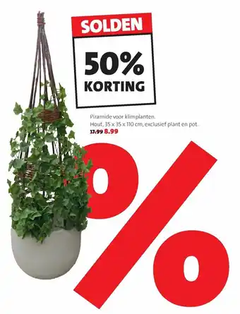 Piramide voor klimplanten