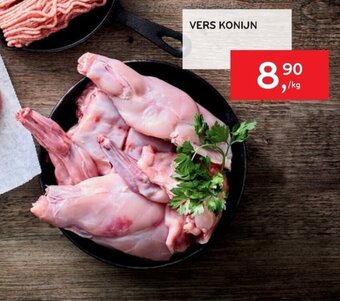 Vers Konijn