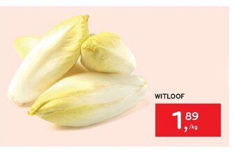 Alvo Witloof aanbieding