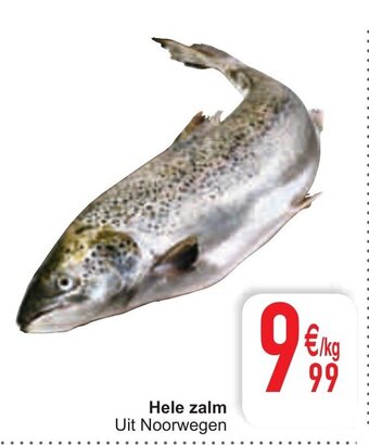 Cora Hele zalm aanbieding