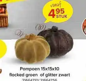 Euroshop Pompoen flocked groen of glitter zwart aanbieding