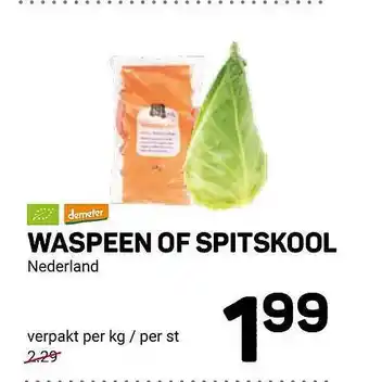 Ekoplaza Waspeen of spitskool aanbieding