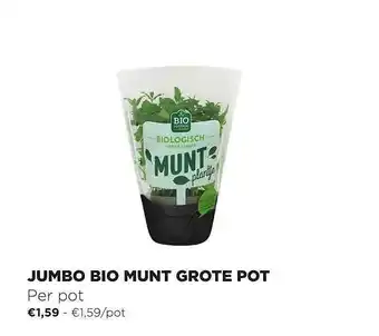 Jumbo Jumbo Bio Munt Grote Pot aanbieding