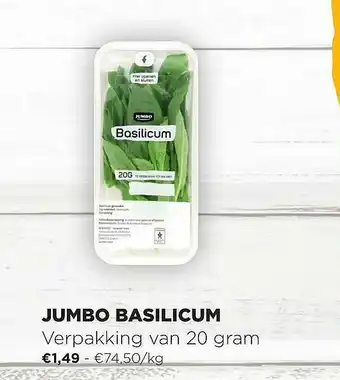 Jumbo Basilicum