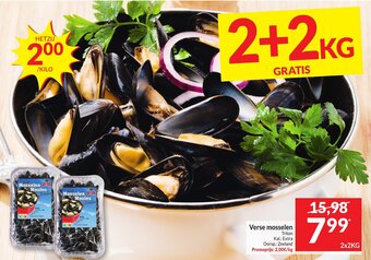 Intermarché Verse mosselen aanbieding