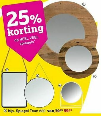 Leen Bakker Spiegel teun aanbieding