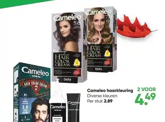 Big Bazar Cameleo haarkleuring aanbieding
