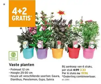 GAMMA 4+2 Gratis Vaste Planten aanbieding