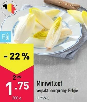 ALDI Miniwitloof aanbieding