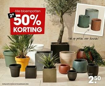 Kwantum Bloempotten aanbieding