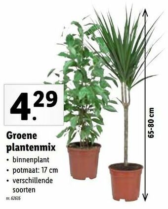 Lidl Groene plantenmix aanbieding