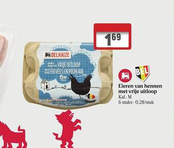 Eieren van hennen met vrije uitloop