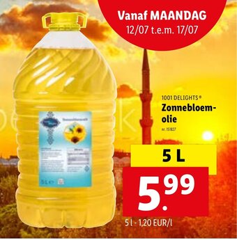 1001 Delights Zonnebloemolie 5L