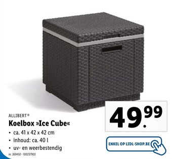 Lidl Allibert Koelbox Ice Cube aanbieding