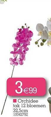 Yess Orchidee aanbieding