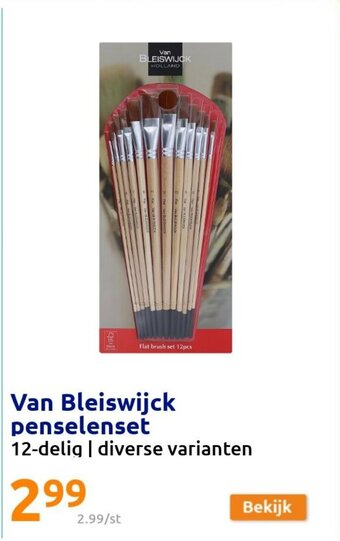 Action Van Bleiswijck Penselenset 12-delig aanbieding
