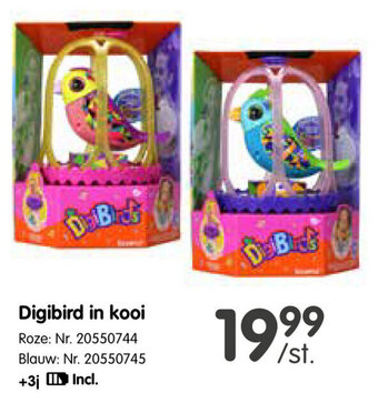 Digibird in kooi