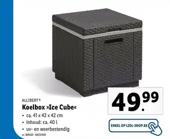 Lidl Allibert Koelbox Ice Cube aanbieding
