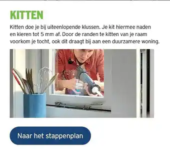 Kitten