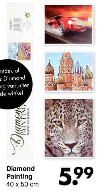 Wibra Diamond painting 40 x 50 cm aanbieding