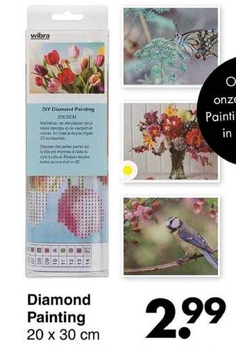 Wibra Diamond painting 20 x 30 cm aanbieding