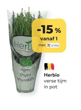 Bio Planet Herbio verse tijm in pot aanbieding