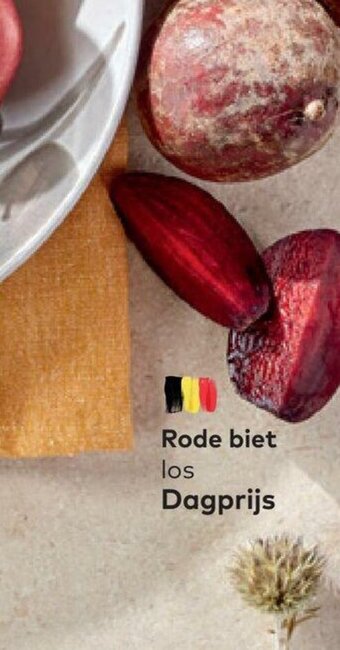 Rode biet los dagprijs