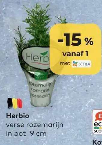 Bio Planet Herbio verse rozemarijn in pot 9cm aanbieding