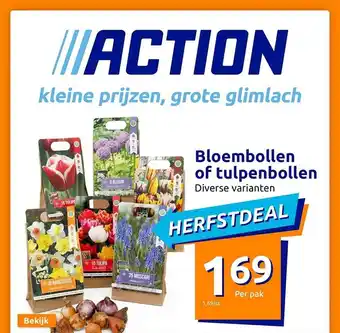 Bloembollen of tulpenbollen