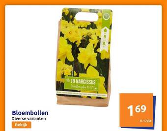 Action Bloembollen aanbieding