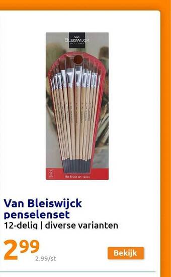 Van bleiswijck penselenset