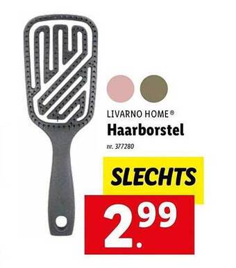 Lidl Livarno home haarborstel aanbieding