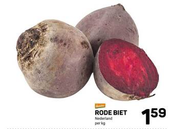 Rode biet
