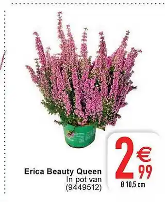 Erica beauty queen
