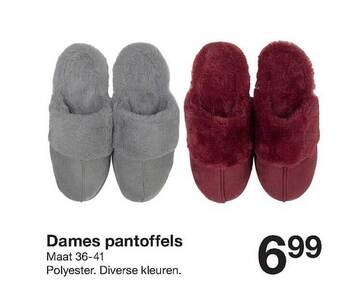 Dames pantoffels