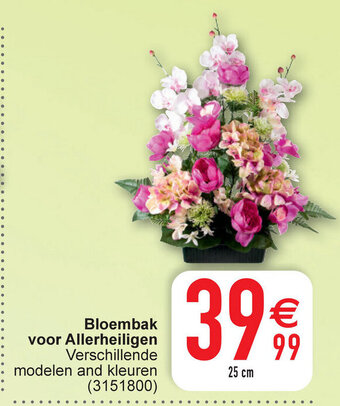 Cora Bloembak voor allerheiligen verschillende modelen and kleuren 25cm aanbieding