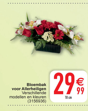 Cora Bloembak voor allerheiligen verschillende modelen and kleuren 25cm aanbieding