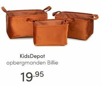 Baby & Tiener Kidsdepot opbergmanden billie aanbieding