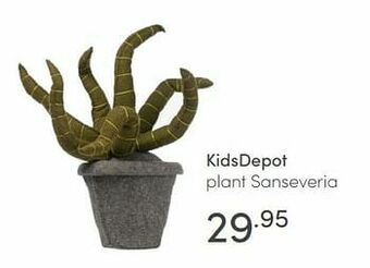 Baby & Tiener Kidsdepot plant sanseveria aanbieding