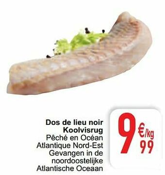 Cora Dos de lieu noir koolvisrug aanbieding
