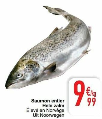 Cora Saumon entier hele zalm aanbieding