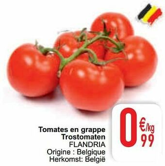 Tomates en grappe trostomaten flandria